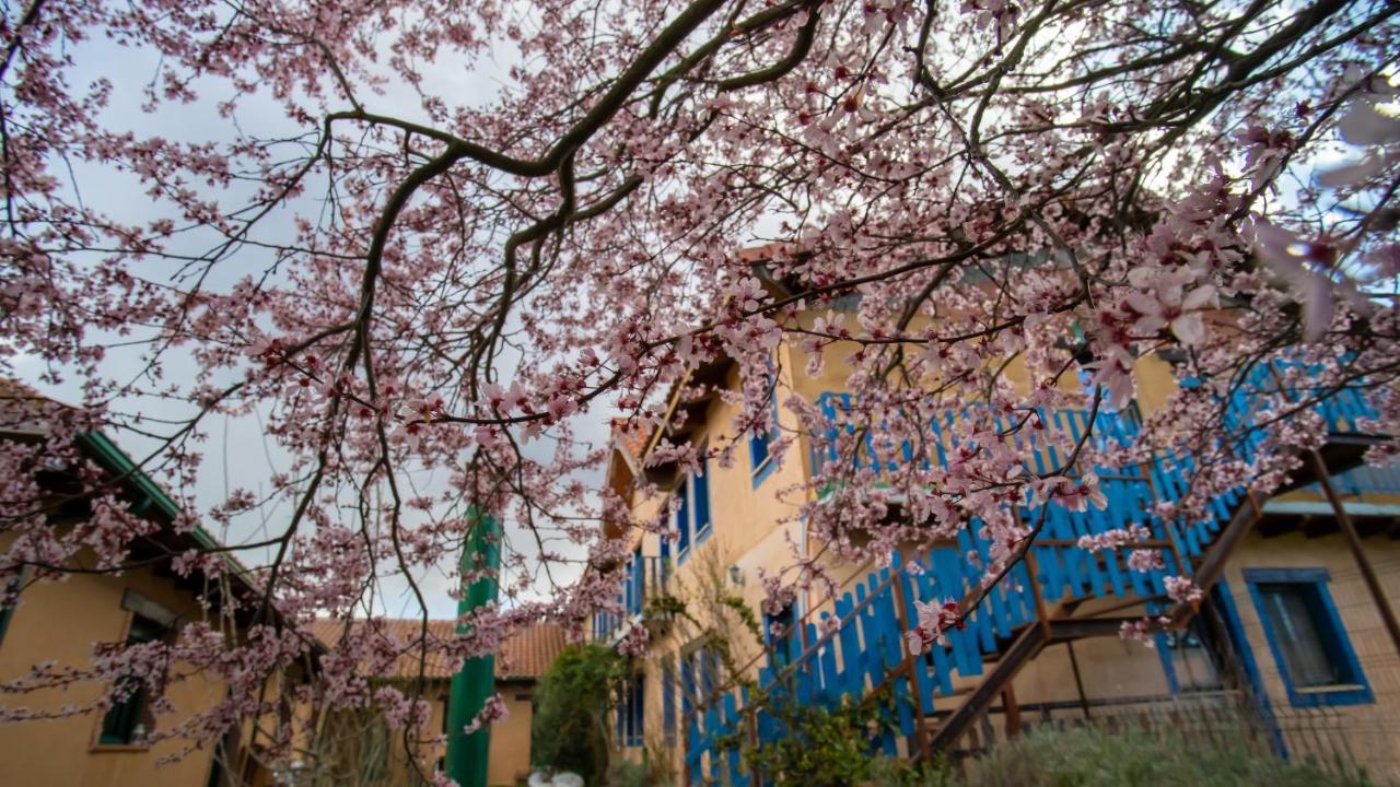 Albergue de Peregrinos Casa Flor Murias de Rechivaldo Exterior foto